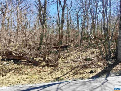 28 Pedlars Edge Dr, Rockfish, VA 22967 - photo 7