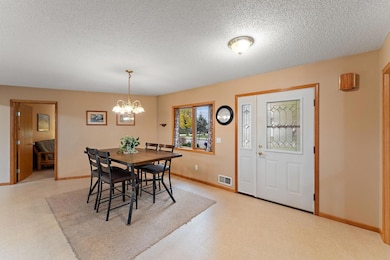 11206 72nd St S, Cottage Grove, MN 55016 - photo 4