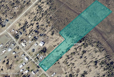 64985 Nikolaevsk Rd, Nikolaevsk, AK 99556 - photo 3