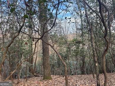 0 Geneva Place unit 10648186, Sautee Nacoochee, GA 30571 - photo 2