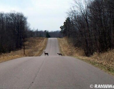 0 Cedar Swamp Rd unit 827193, Strickland, WI 54895 - photo 4