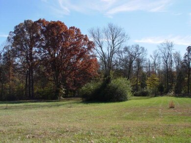 0 Belmar Cir, Manchester, TN 37355 - photo 4