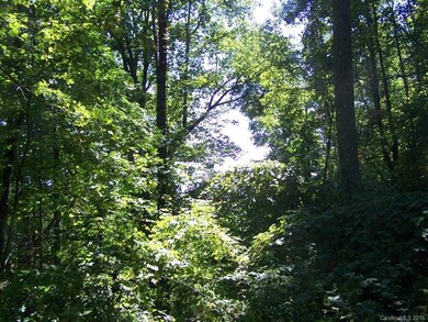 Lush Vegetation