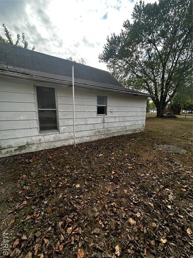 106 Locust St, Coffeen, IL 62017 - photo 5