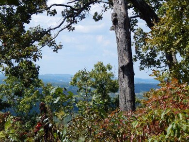 Long-Range View