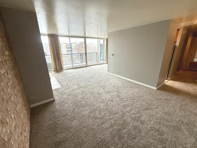 6010 Oakwood Dr unit 5D, Lisle, IL 60532 - photo 4