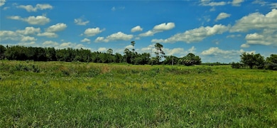 0 Mammoth Grove Rd unit MFRP4935027, Lake Wales, FL 33898 - photo 6