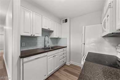 11850 Edgewater Dr unit 804, Lakewood, OH 44107 - photo 5