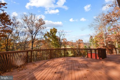 16289 Senedo Rd, Edinburg, VA 22824 - photo 5