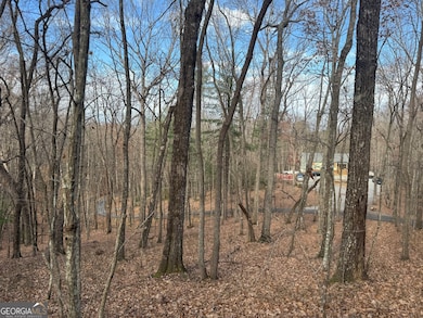 0 Geneva Place unit 10648174, Sautee Nacoochee, GA 30571 - photo 3