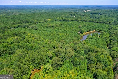 1206 + 0 Macedonia Rd, Newnan, GA 30263 - photo 7