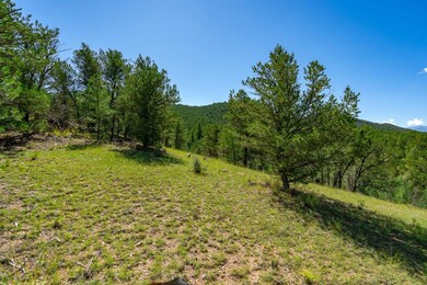 Lot 9 Sundance Rd, Cotopaxi, CO 81223 - photo 4