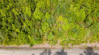 Lot 12 Grant Rd, Orono, ME 04473 - photo 4