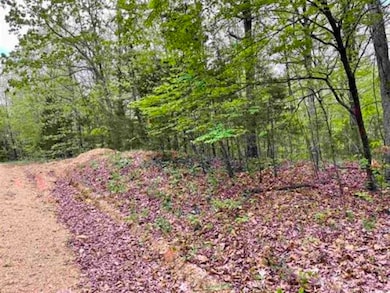 0 Timbercrest Rd, Viola, AR 72583 - photo 6