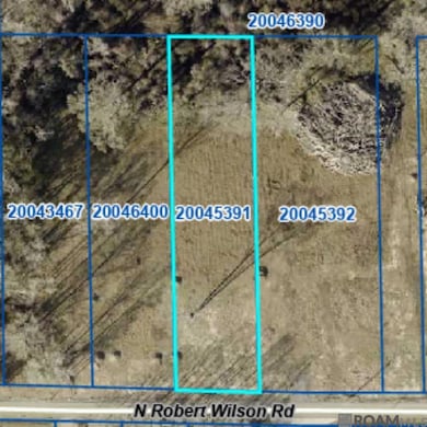 38354 N Robert Wilson Rd, Gonzales, LA 70737 - photo 6