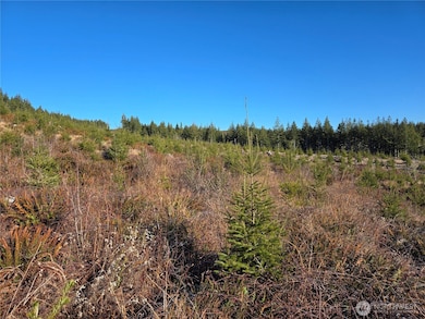 0 Butte Creek Rd, Raymond, WA 98577 - photo 7