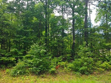 Lot #5  sign can be seen hanging on tree.