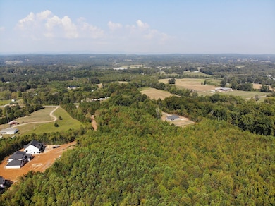 0 Alabama Hwy unit 21222630, Rock Spring, GA 30739 - photo 3