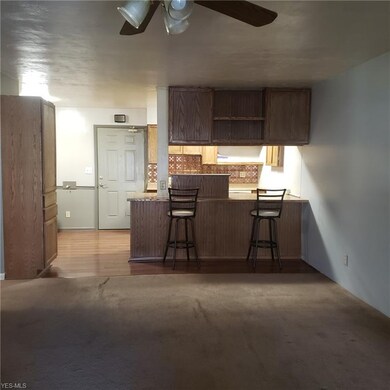 25320 Country Club Blvd unit 3, North Olmsted, OH 44070 - photo 6