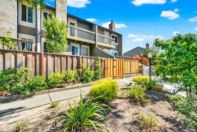 2009 Hawthorne Terrace, Novato, CA 94945 - photo 6