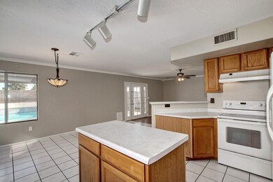 2333 S Ananea Mesa (4)