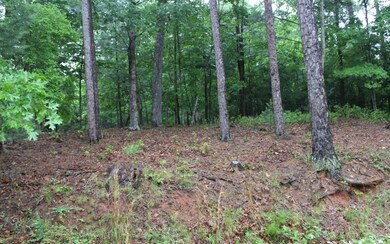 Additional View