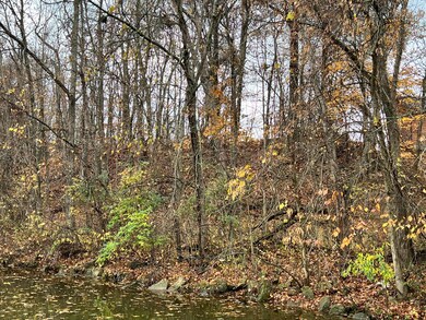Candlewood Lake owned lot next door