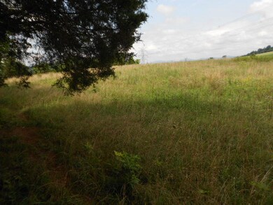 0 Buffalo Springs Rd unit 894850, Rutledge, TN 37861 - photo 3