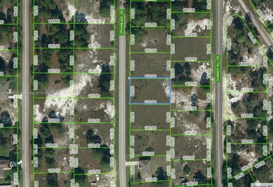 627 Dreamland Dr, Lake Placid, FL 33852 - photo 2