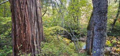 2971 13 Dips Rd, Hayfork, CA 96041 - photo 5