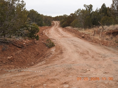 Tract A-1 Cr B29a, Villanueva, NM 87583 - photo 2