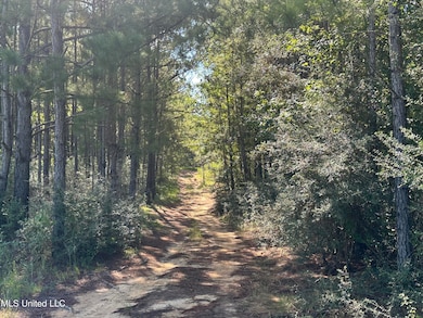 0 Mary Cochran Rd, Lucedale, MS 39452 - photo 6