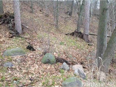 L9 B1 Lake View Dr, Cushing, MN 56443 - photo 3