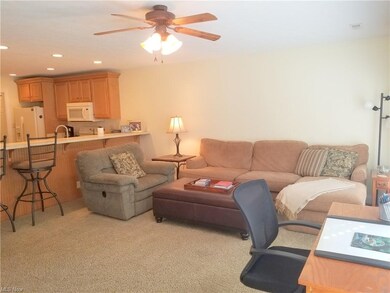 Living room - adjacent to the kitchen, the living 