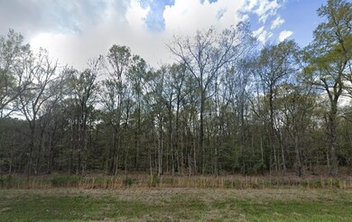 0 Lavaca Ln unit 25564660, Dayton Lakes, TX 77535 - photo 3