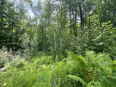 95 Barrywilde Rd, Sheldon, VT 05455 - photo 4