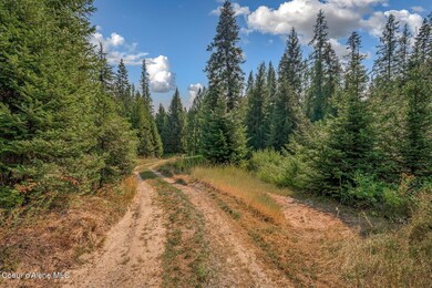 1213 Tanglewood Dr, Priest River, ID 83856 - photo 4