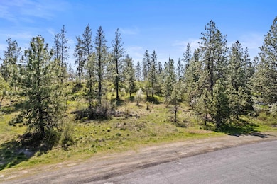 3801 W Grandview Ave, Spokane, WA 99224 - photo 2