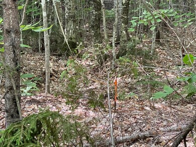 Eastern Property Pin (36-1 Partridge Lan