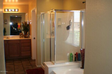 Master Bath Soak Tub and Shower