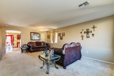 Swan Falls Way-2