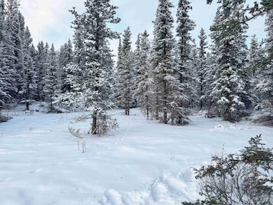 L11 B13 Kimball St, Delta Junction, AK 99737 - photo 5