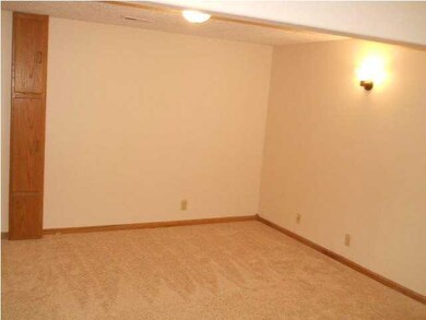 Basement Family Room