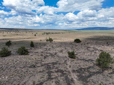 TL 500 Sheep Lake Rd, Riley, OR 97758 - photo 7