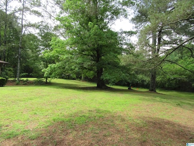 3212 County Road 730, Cullman, AL 35055 - photo 3