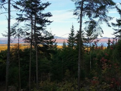 Lake from ridge