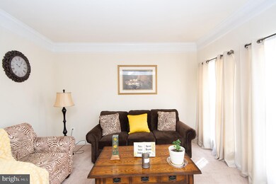 403 Caribbean Ave, Cambridge, MD 21613 - photo 7