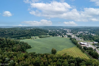 22141 Mcdaniel St, Minerva, OH 44657 - photo 4