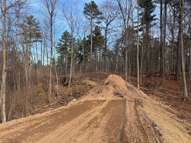 Lot 42 Ursa Rd, Hayward, WI 54843 - photo 3
