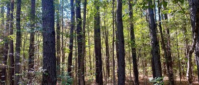 Drakes Main St, Drakes Branch, VA 23937 - photo 3